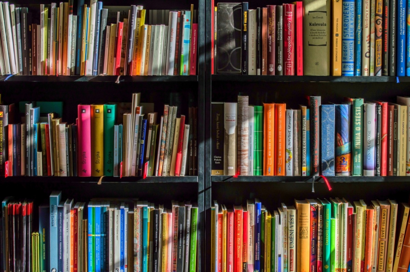 ecommerce-BAGNOLS EN FORET-min_books_bookstore_book_reading_shop_writer_sale_books_read-822866